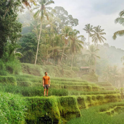 Ubud Full Day Tour - PT. Bali Agha Nusantara